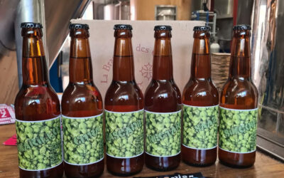 Série Single Hop!